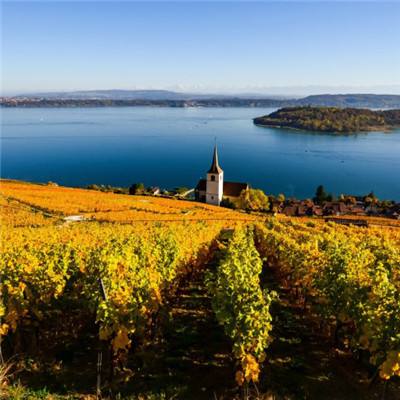 ManBetX纯净版截图